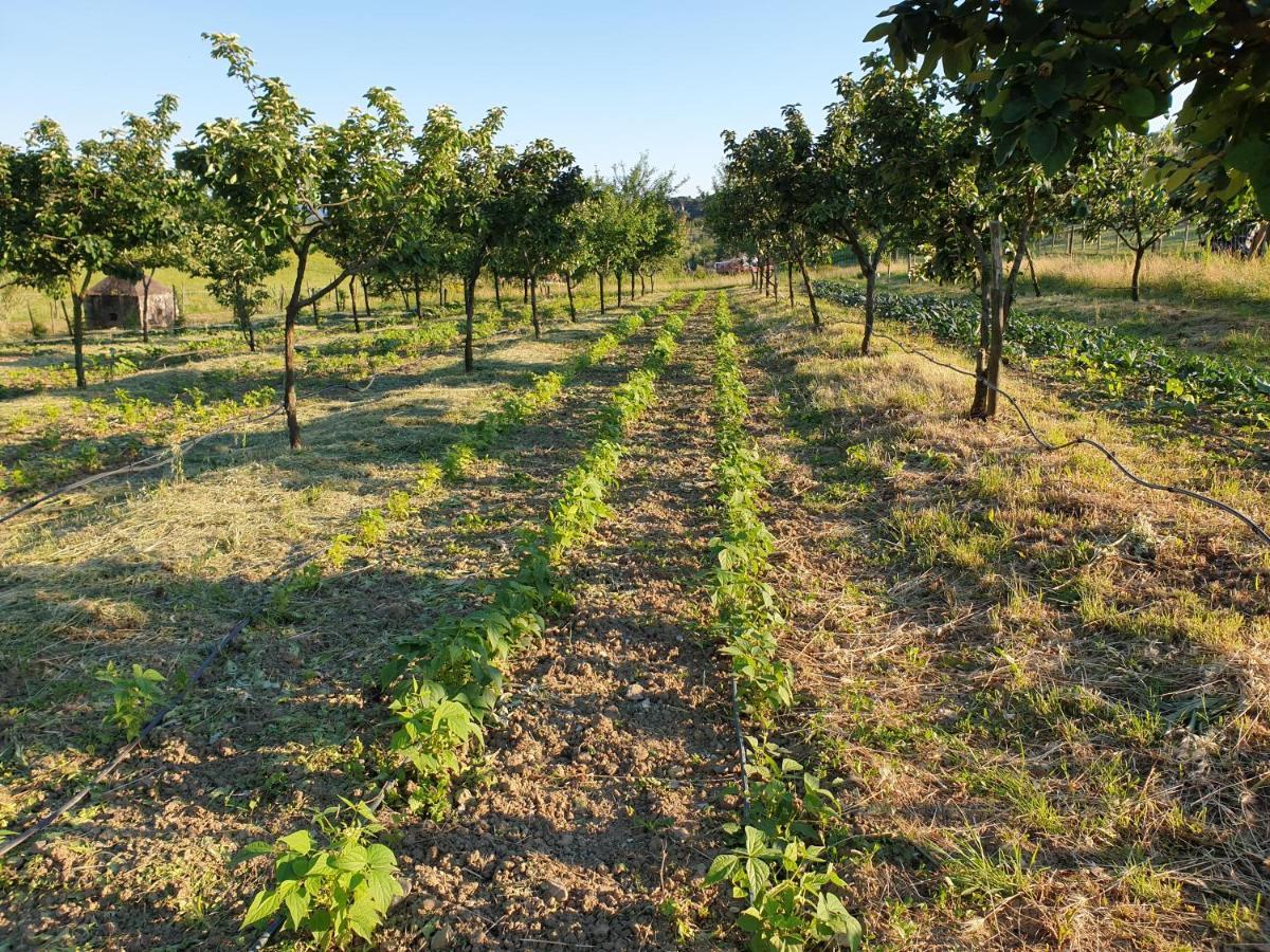 Fattoria Di Maiano Guest House Fiesole Luaran gambar