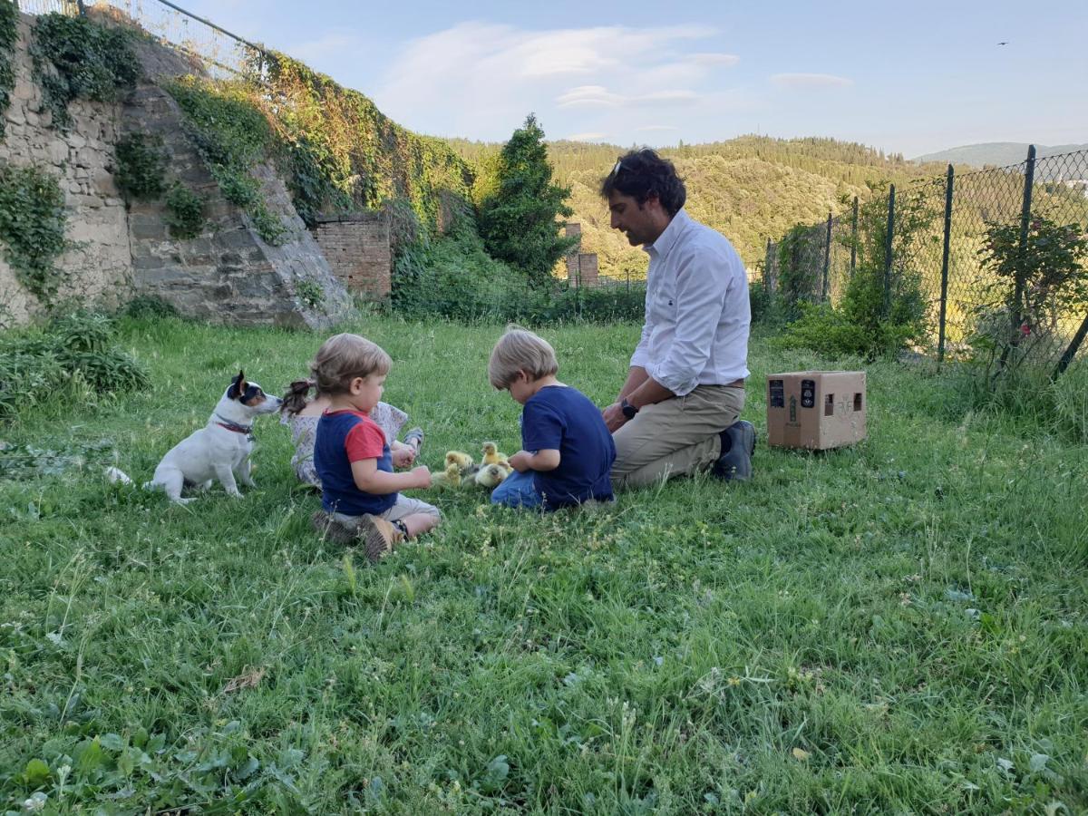 Fattoria Di Maiano Guest House Fiesole Luaran gambar